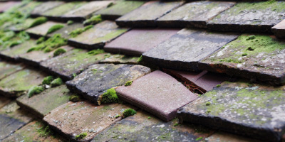 Clacton roof repair costs